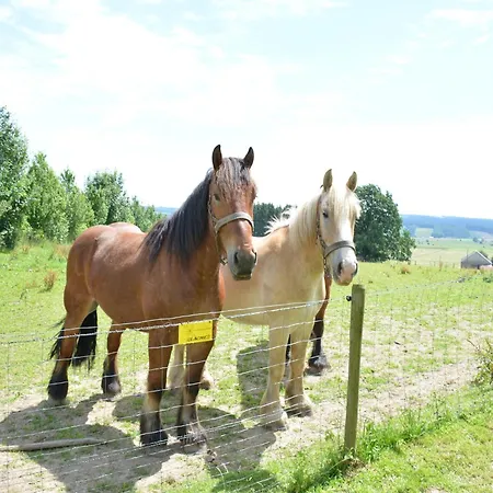 Cozy Near Houffalize, Cleaning Included * Halonreux